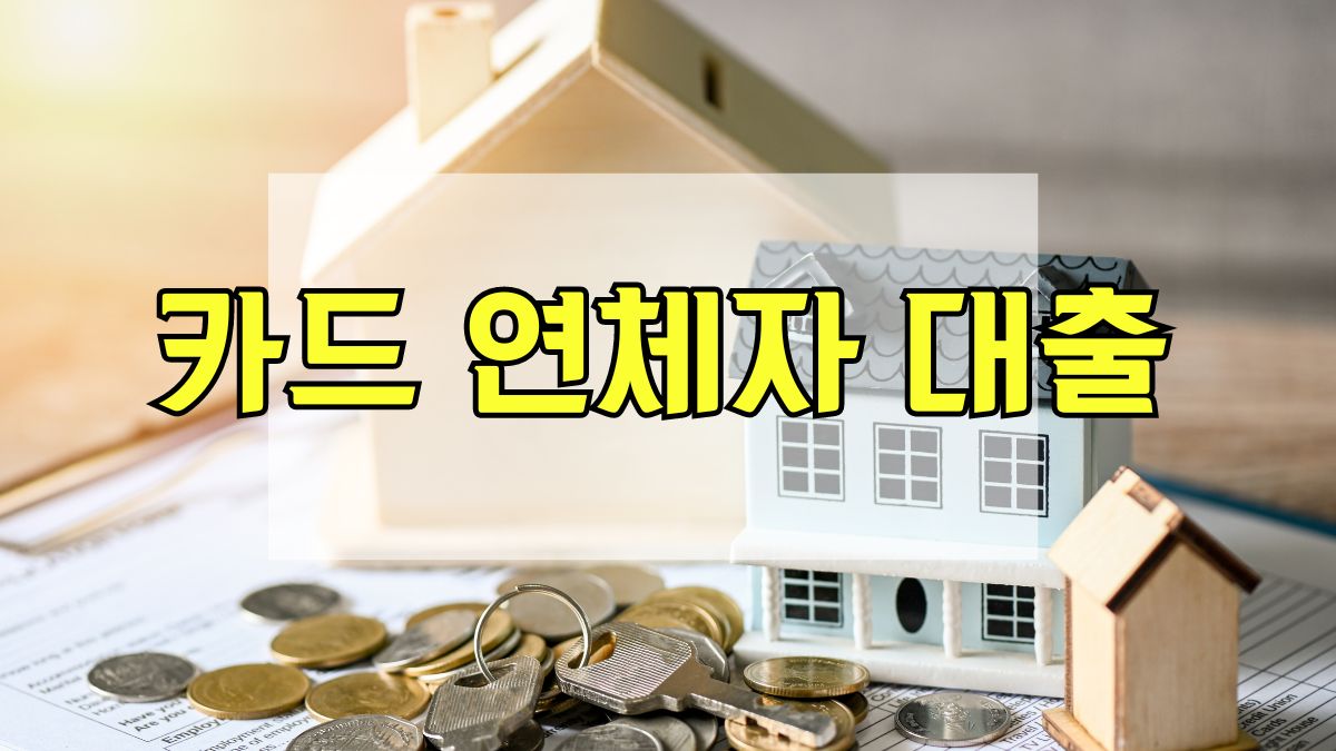 카드 연체자 대출