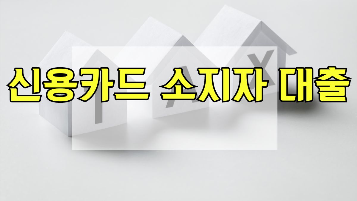 신용카드 소지자 대출
