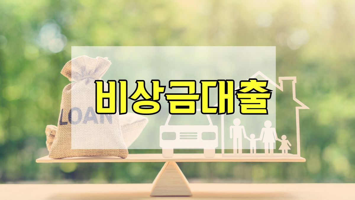 비상금대출