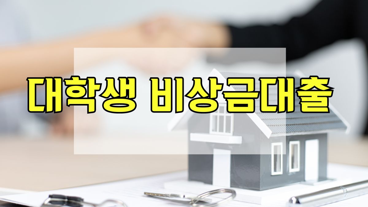 대학생 비상금대출
