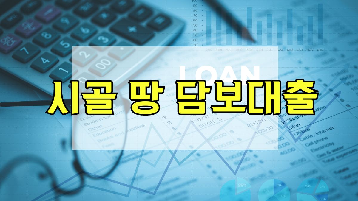 시골 땅 담보대출