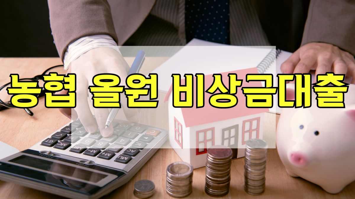 농협 올원 비상금대출