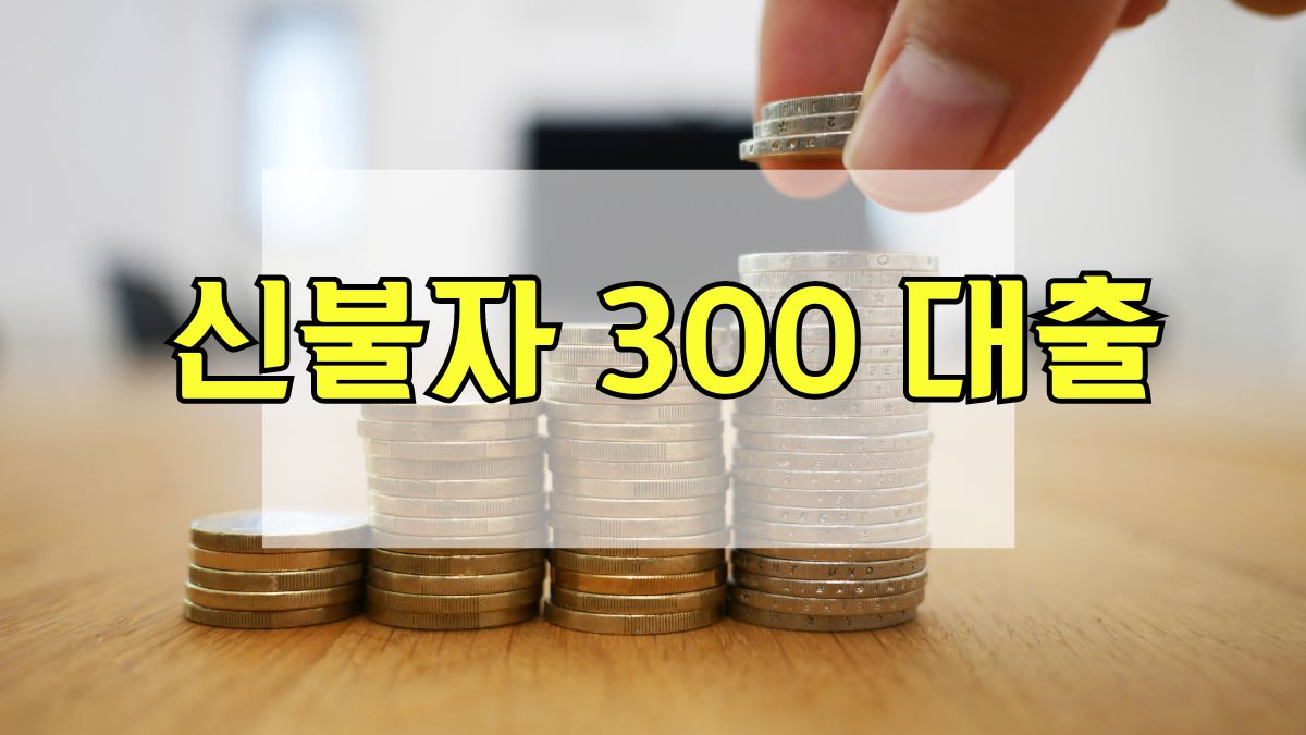 신불자 300 대출
