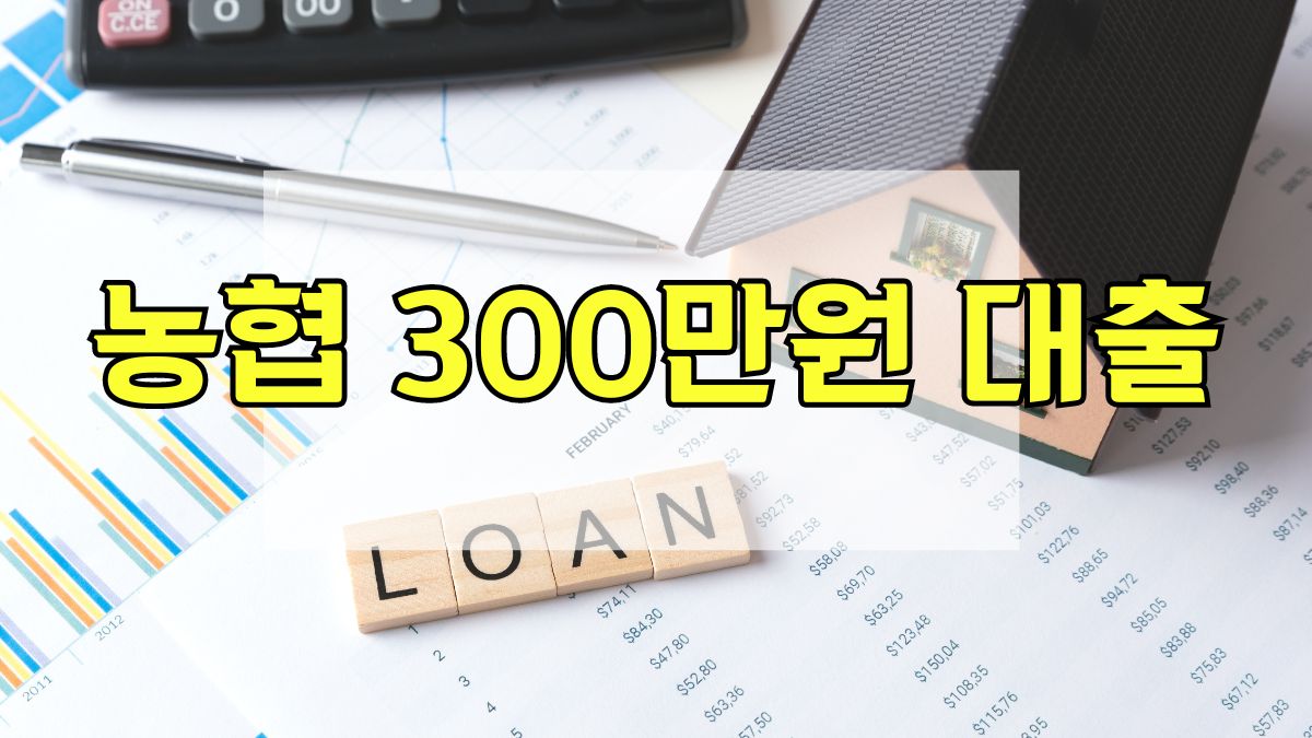 농협 300만원 대출