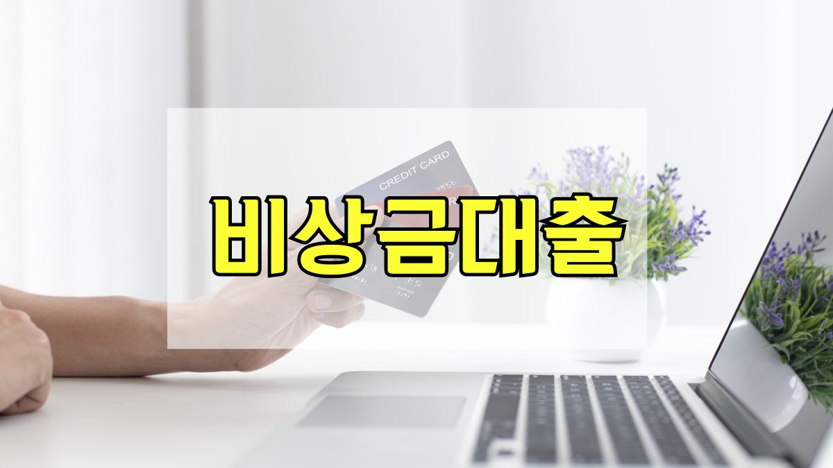 비상금대출