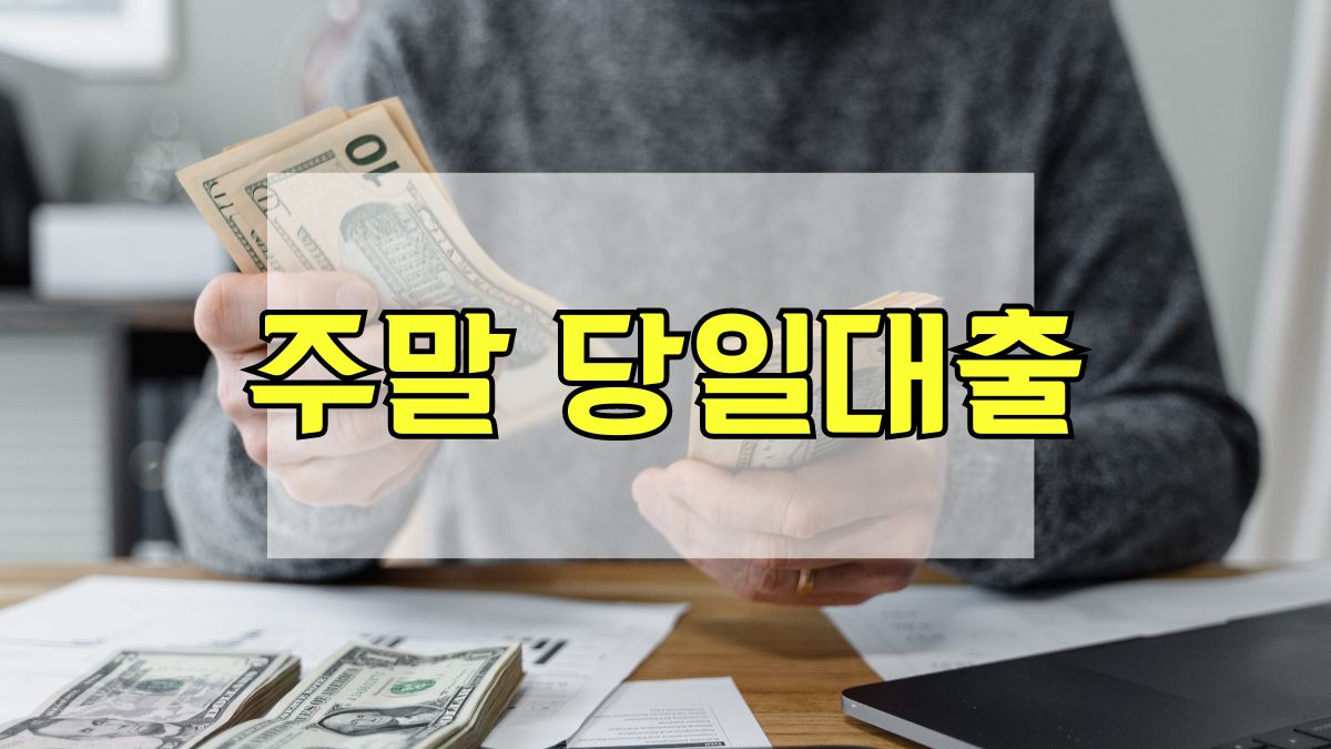 주말 당일대출