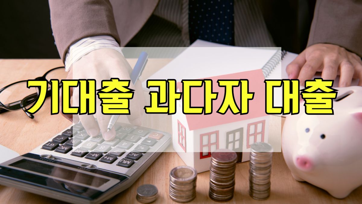 기대출 과다자 대출