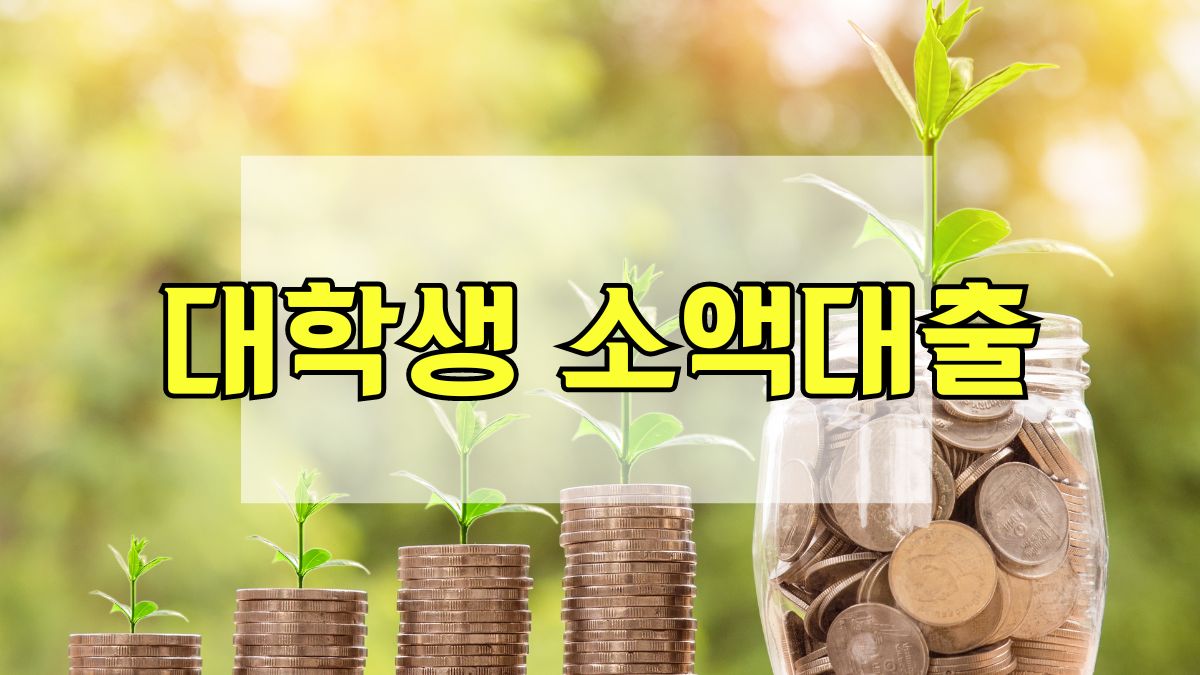 대학생 소액대출