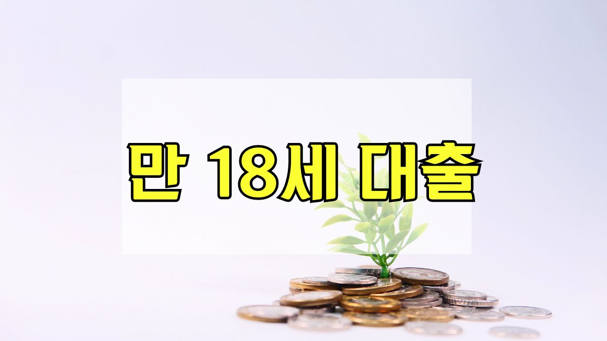 만 18세 대출