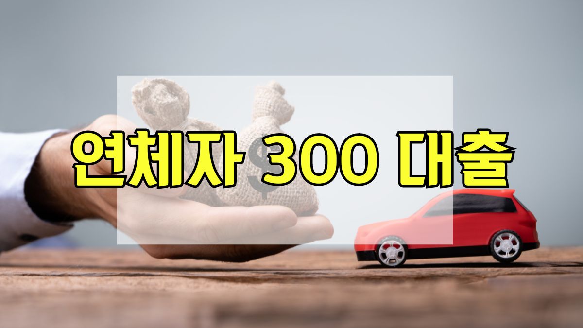 연체자 300 대출