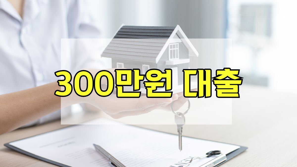 300만원 대출