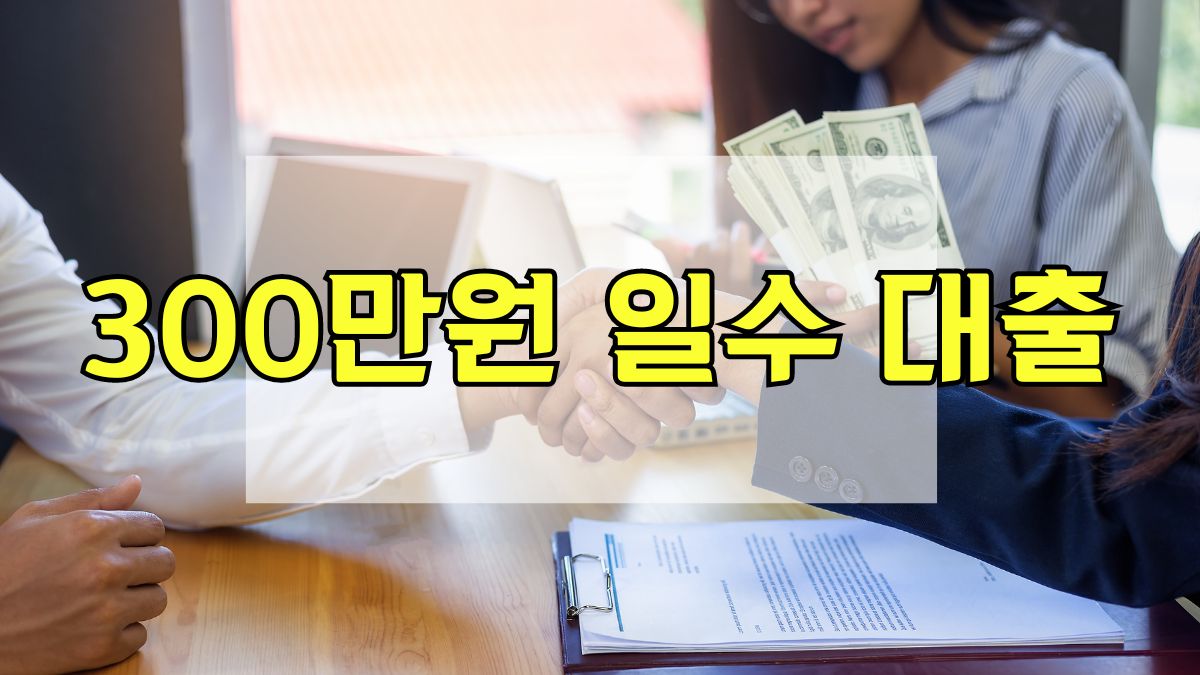 300만원 일수 대출