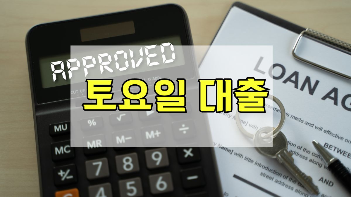 토요일 대출