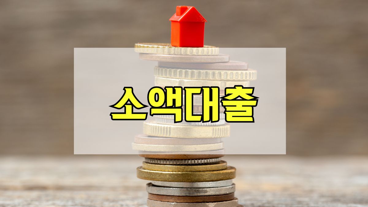 소액대출