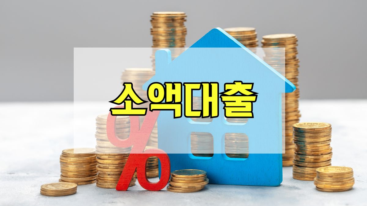소액대출