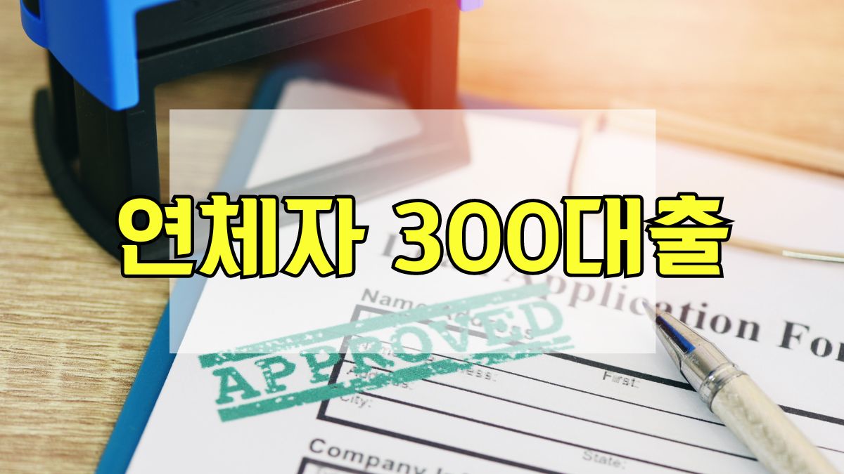 연체자 300대출