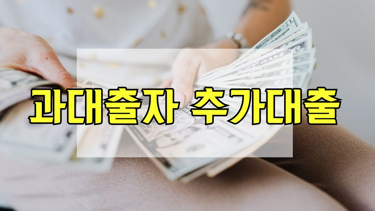 과대출자 추가대출