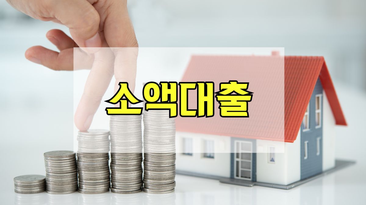 소액대출