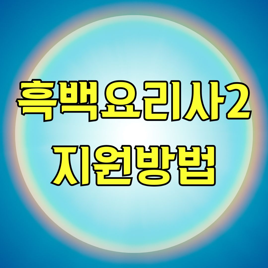 흑백요리사2 지원방법