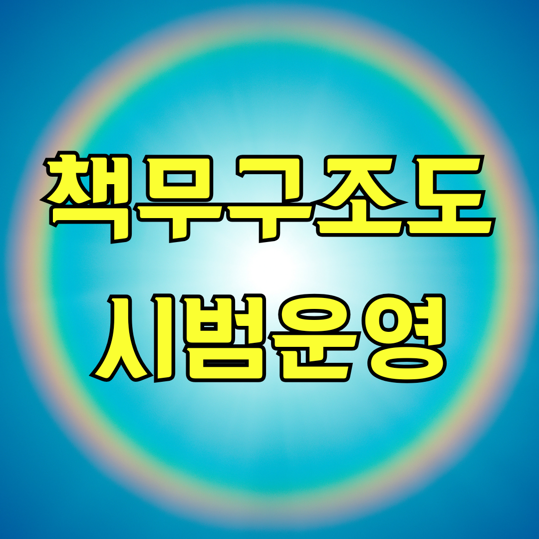 책무구조도 시범운영