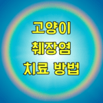 고양이 췌장염 치료 방법
