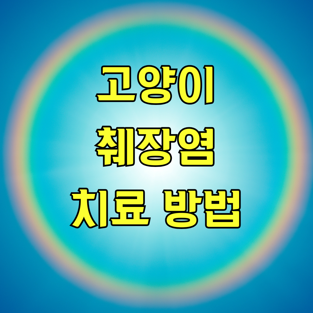 고양이 췌장염 치료 방법