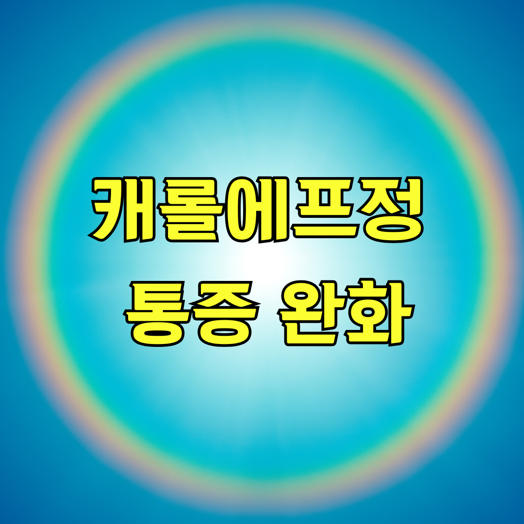 캐롤에프정 통증 완화