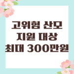 고위험 산모 지원 대상, 최대 300만원 의료비