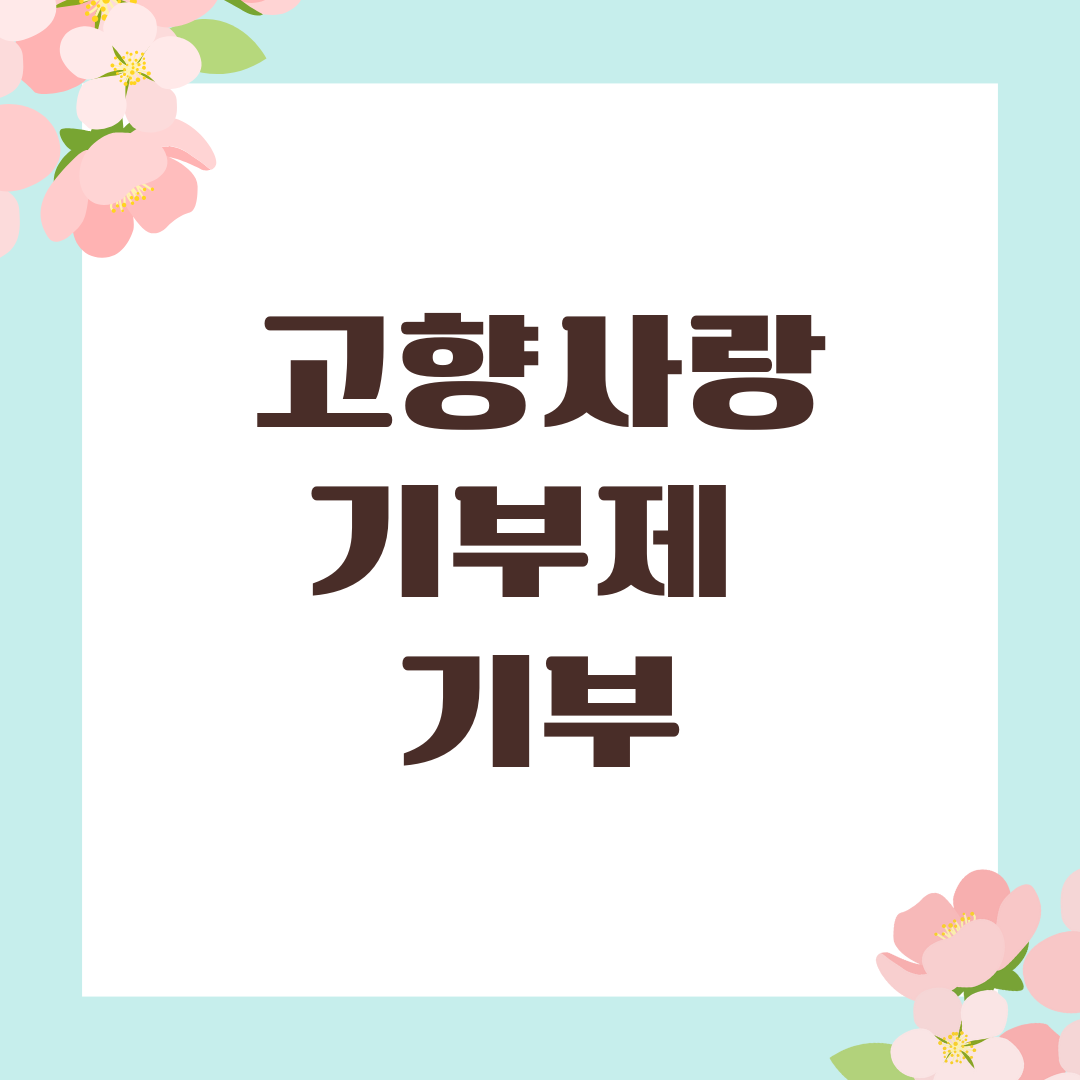 고향사랑기부제 기부