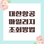 대한항공 마일리지 조회방법
