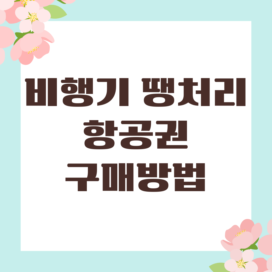 비행기 땡처리 항공권 구매방법