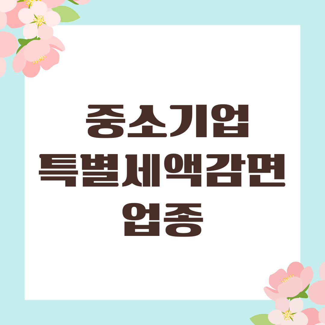 중소기업특별세액감면 업종