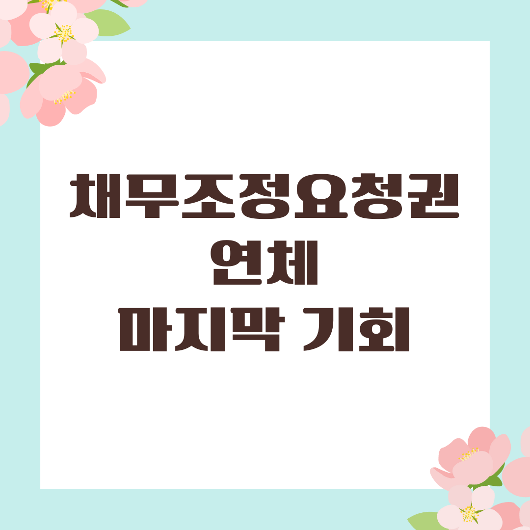 채무조정요청권