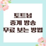 토트넘 중계 방송 무료 보는 방법