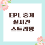 EPL 중계 실시간 스트리밍