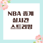 NBA 중계 실시간 스트리밍