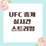 UFC 중계 실시간 스트리밍