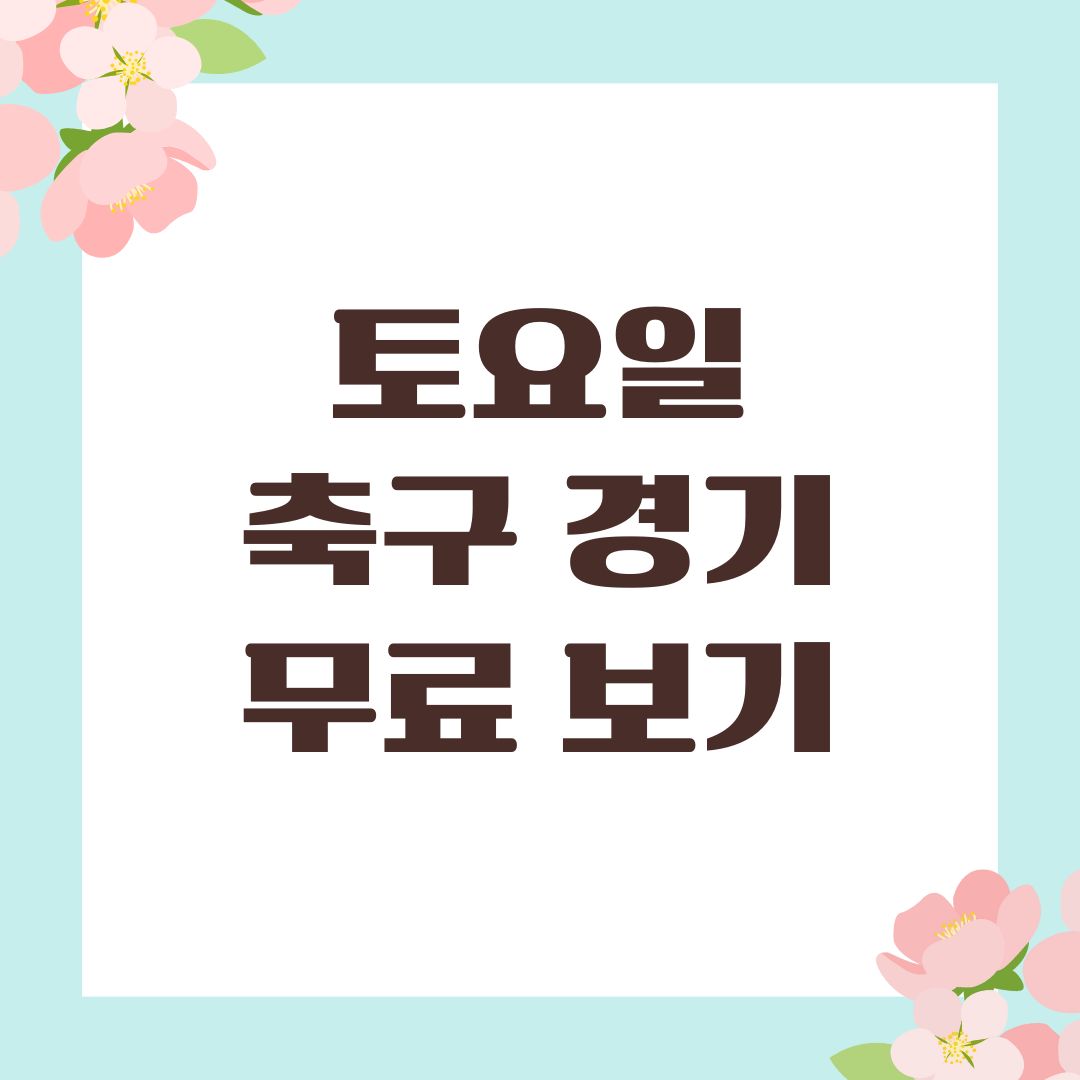 토요일 축구 경기 무료 보기