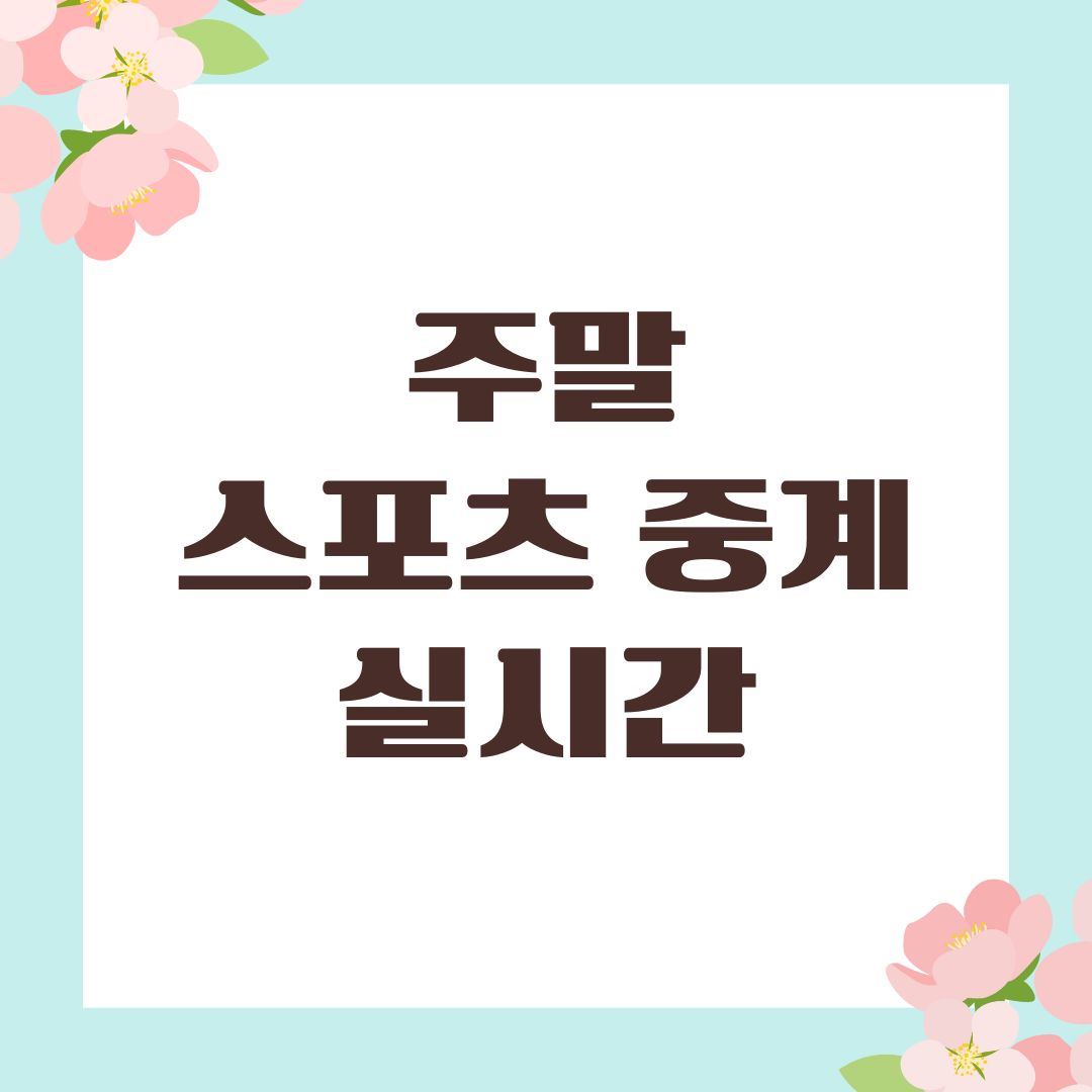 주말 스포츠 중계 실시간