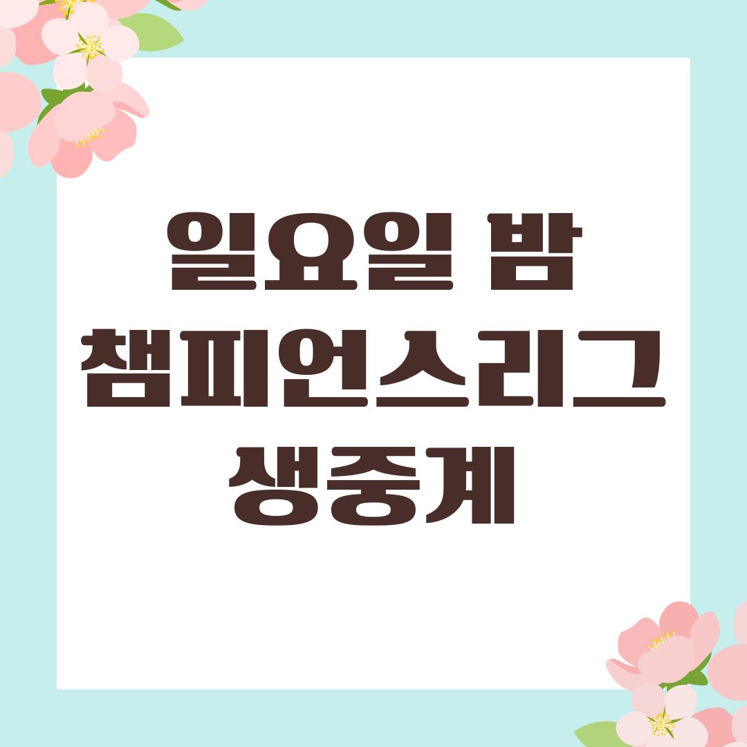 일요일 밤 챔피언스리그 생중계