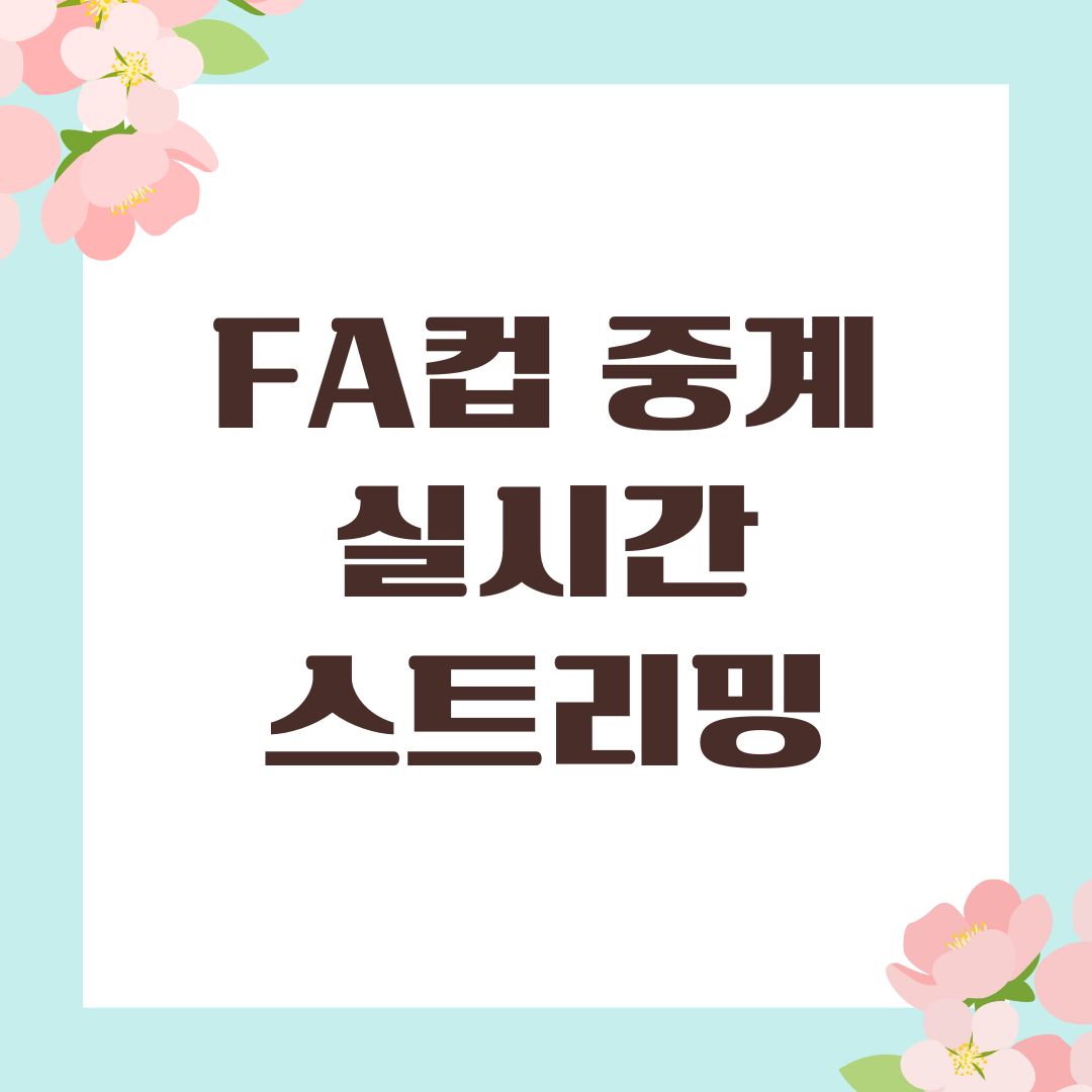 FA컵 중계 실시간 스트리밍