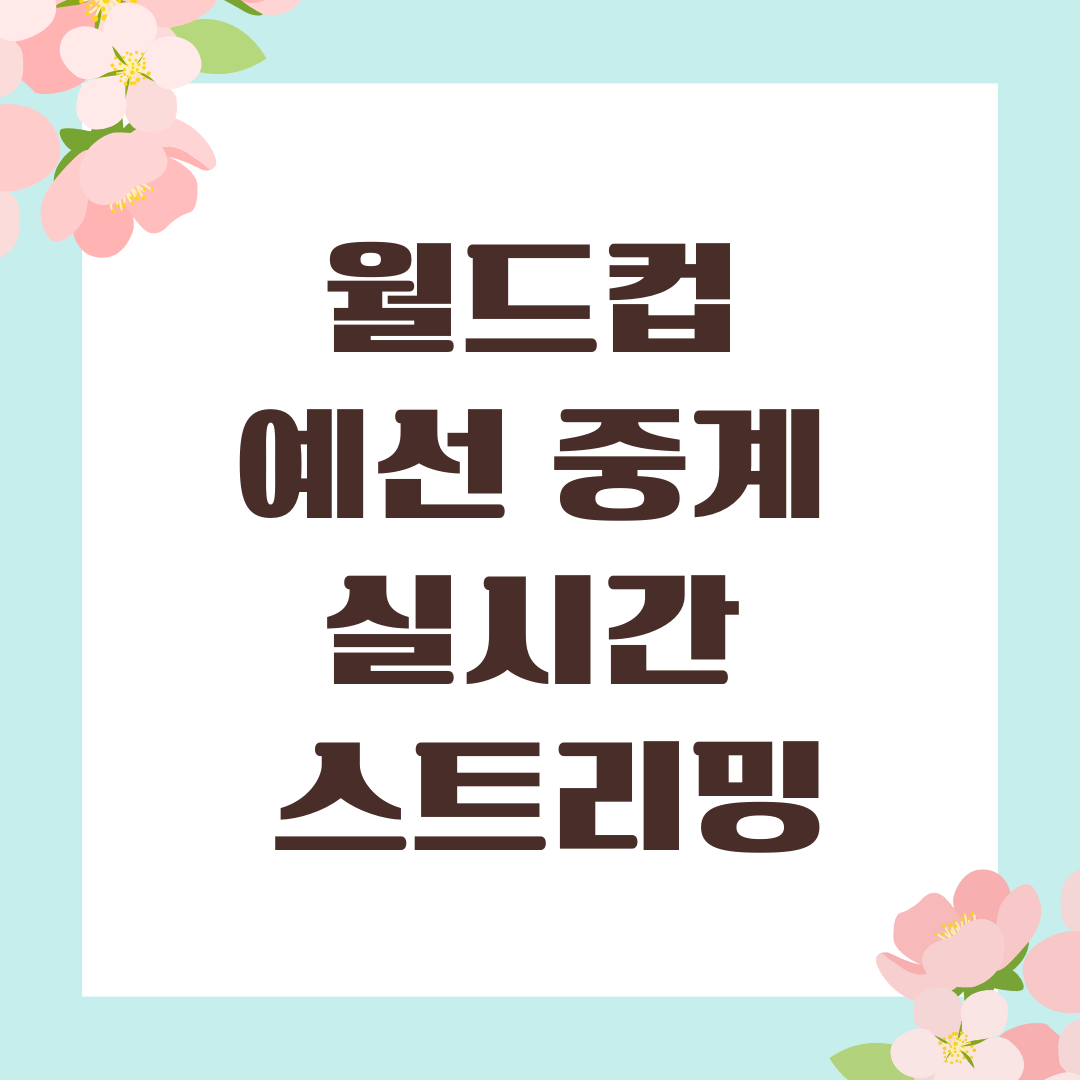 월드컵 예선 중계 실시간 스트리밍