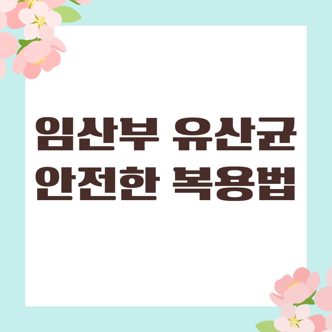 임산부 유산균 안전한 복용법