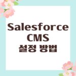 Salesforce CMS 설정 방법