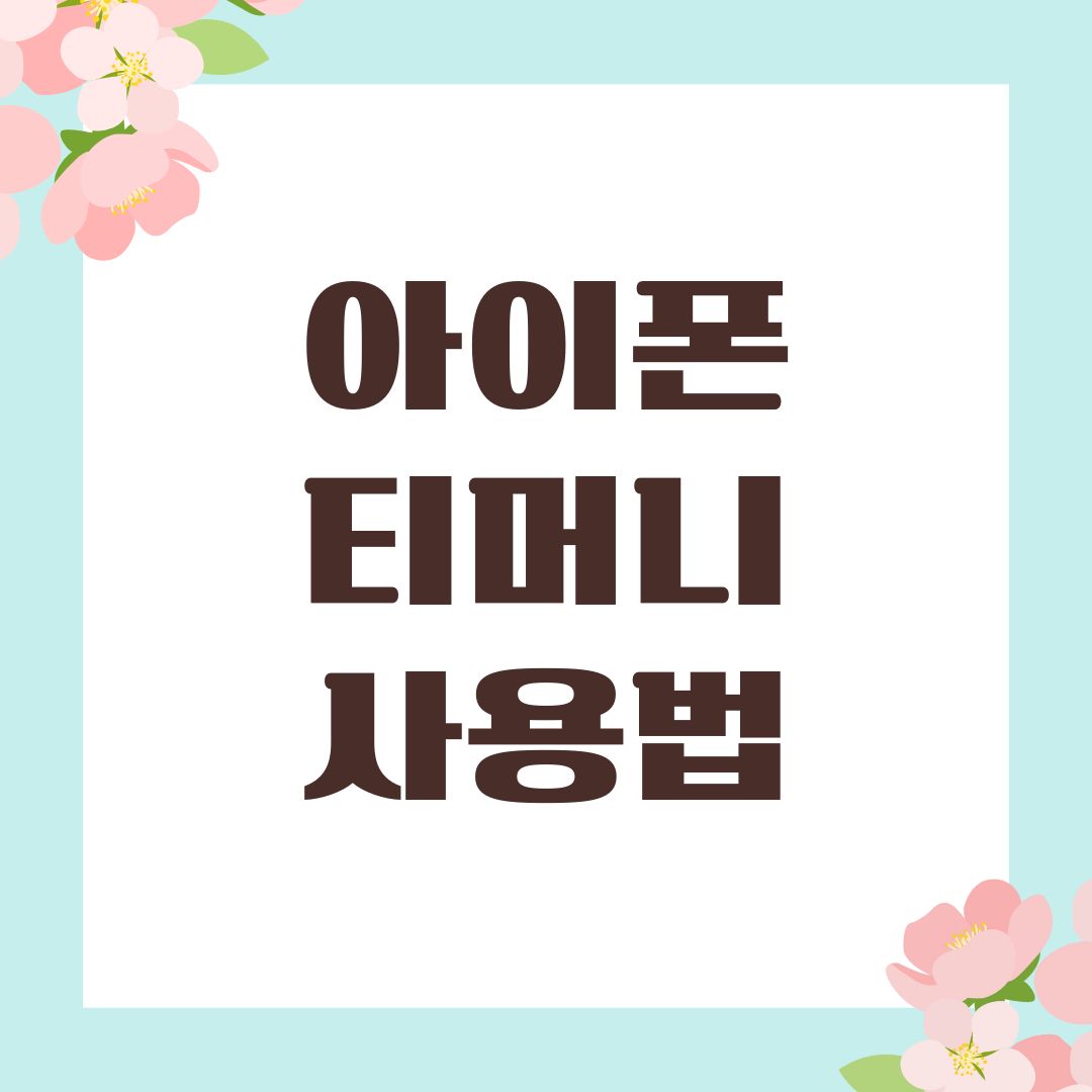 아이폰 티머니 사용법