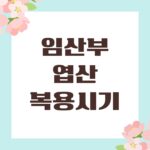 임산부 엽산 복용시기