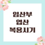 임산부 엽산 복용시기