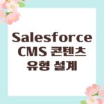 Salesforce CMS 콘텐츠 유형 설계