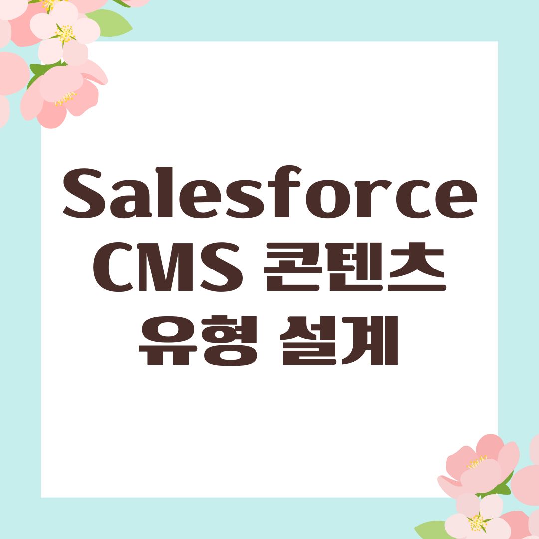 Salesforce CMS 콘텐츠 유형 설계
